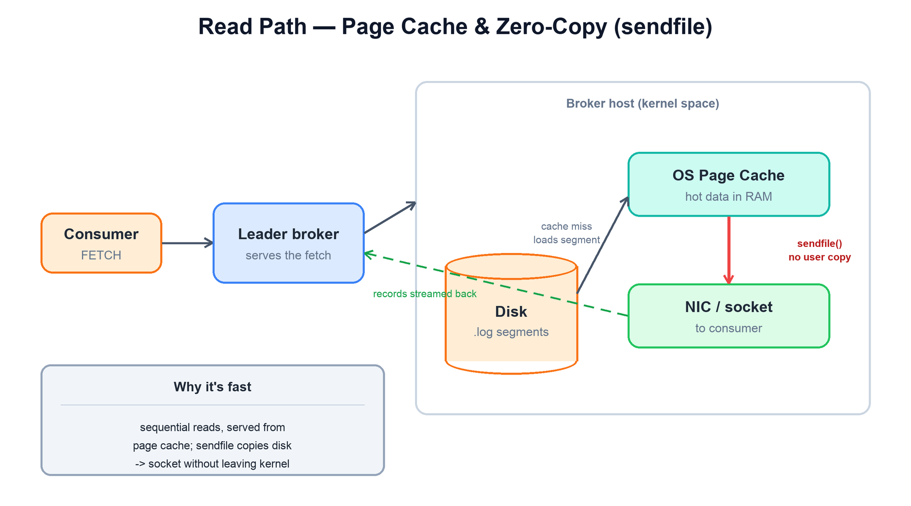 Read path and zero-copy