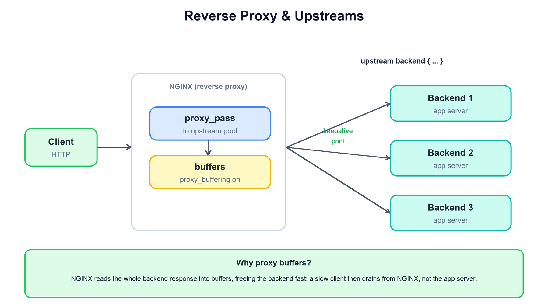 Reverse proxy and upstreams