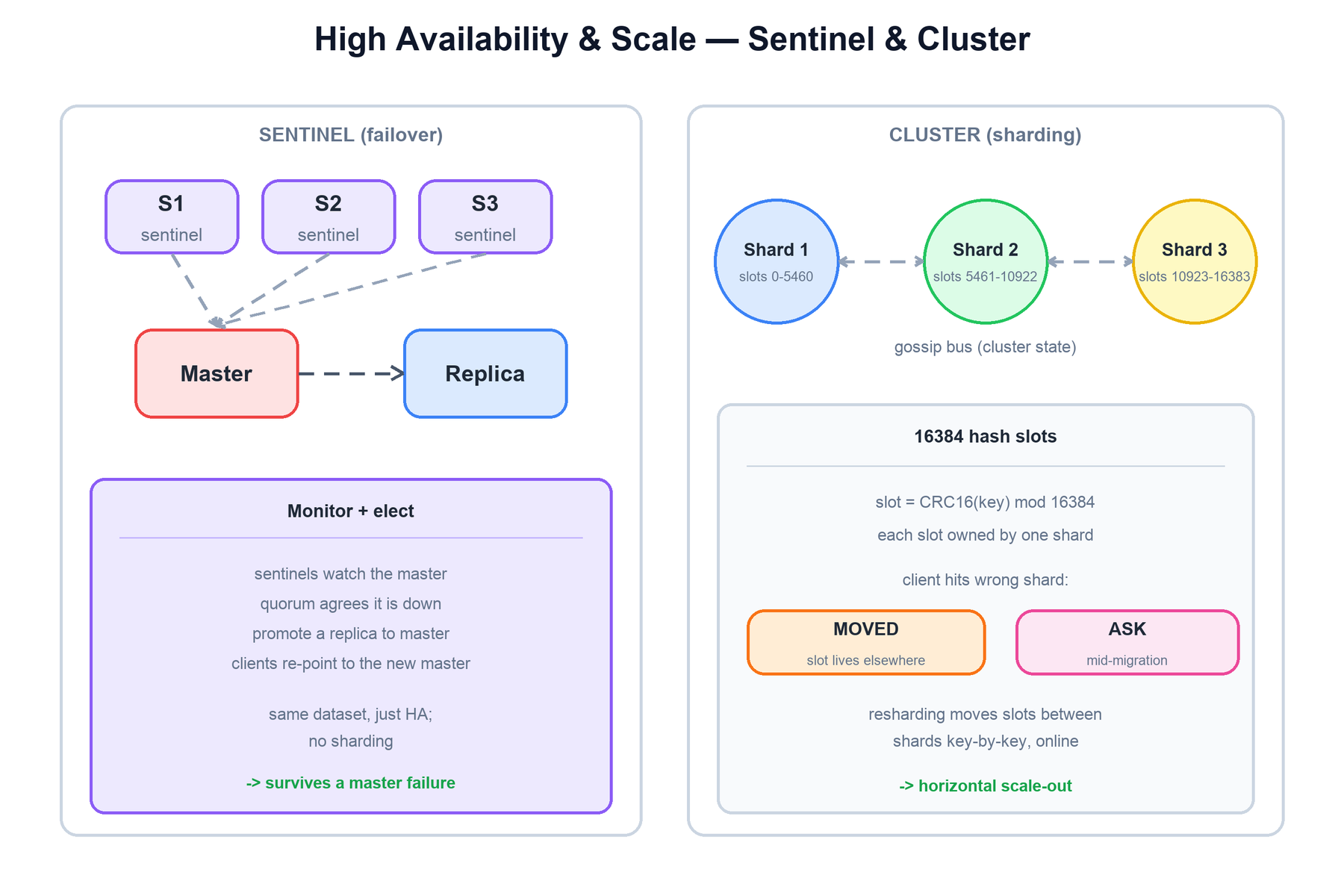 Sentinel and Cluster